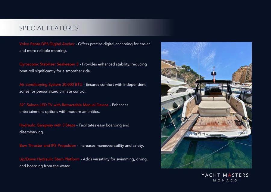 A46 LUXURY TENDER "MRIYA" - Image 9
