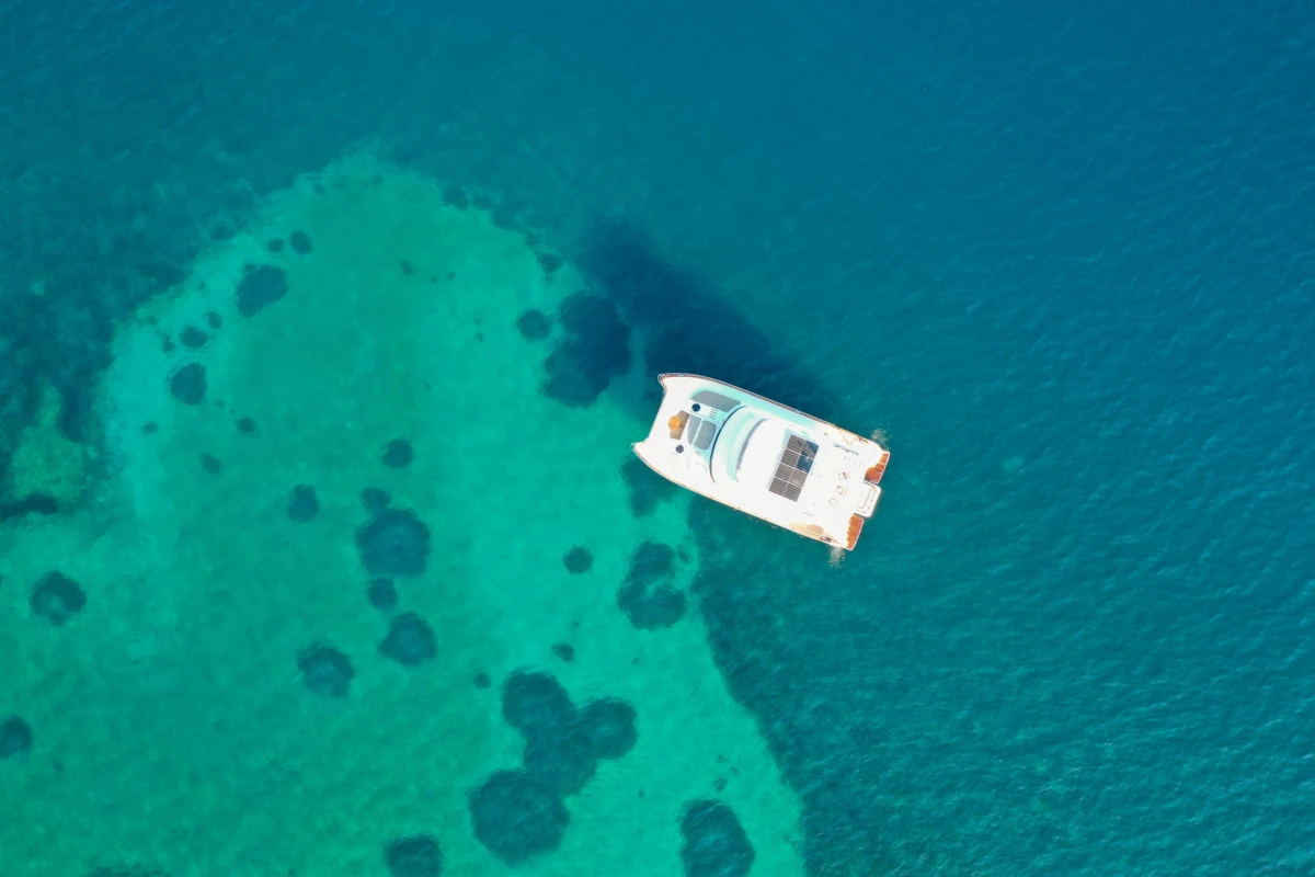 55 “NISAKI” - Image 13