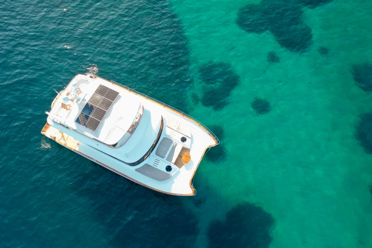 55 “NISAKI” - Image 2